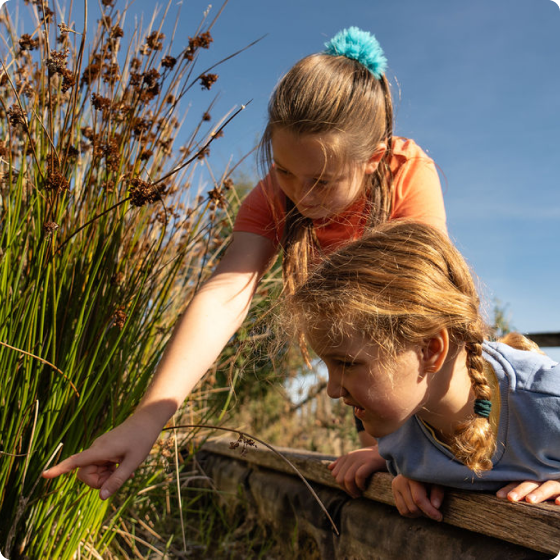 Two children leaning over the side of a pond pointing at some plants.