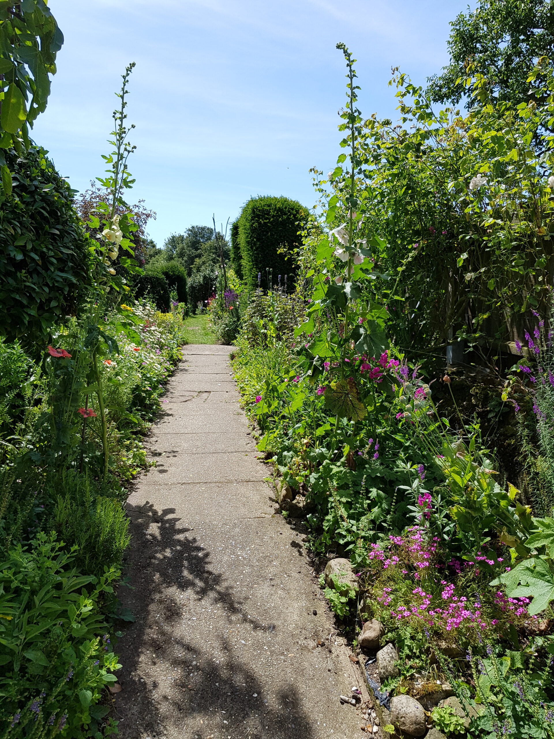 Garden path with flowers alongside