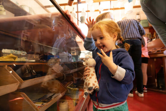 Toddler holding a giraffe soft toy and gazing, with a smile, at a museum display cabinet.